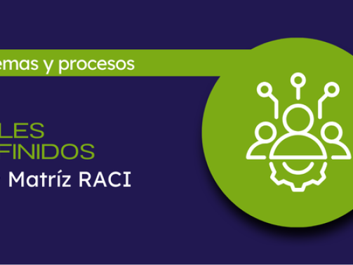 roles definidos con matriz raci